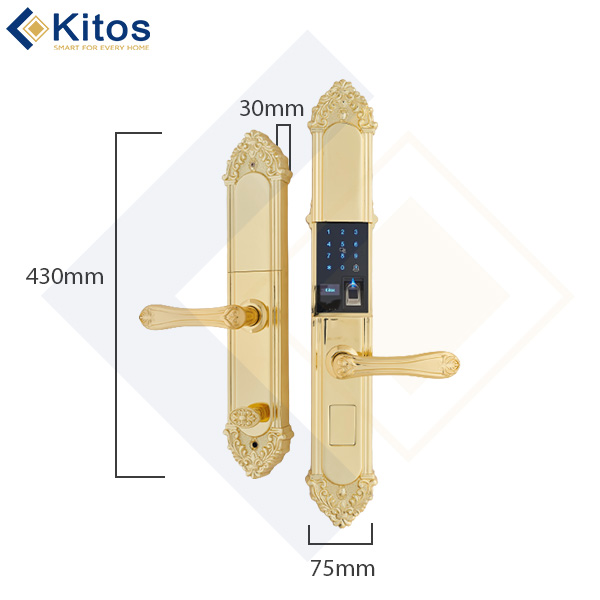 Khóa cửa tân cổ điển Kitos KT-C810 Golden 24k